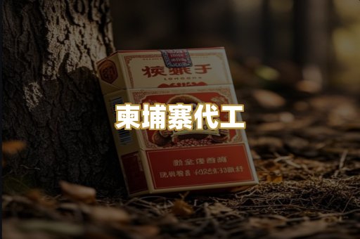 柬埔寨代工